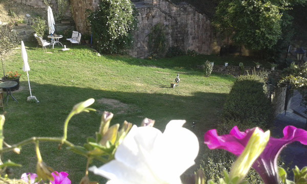 La bodega 2