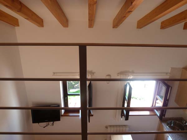 estudio 6