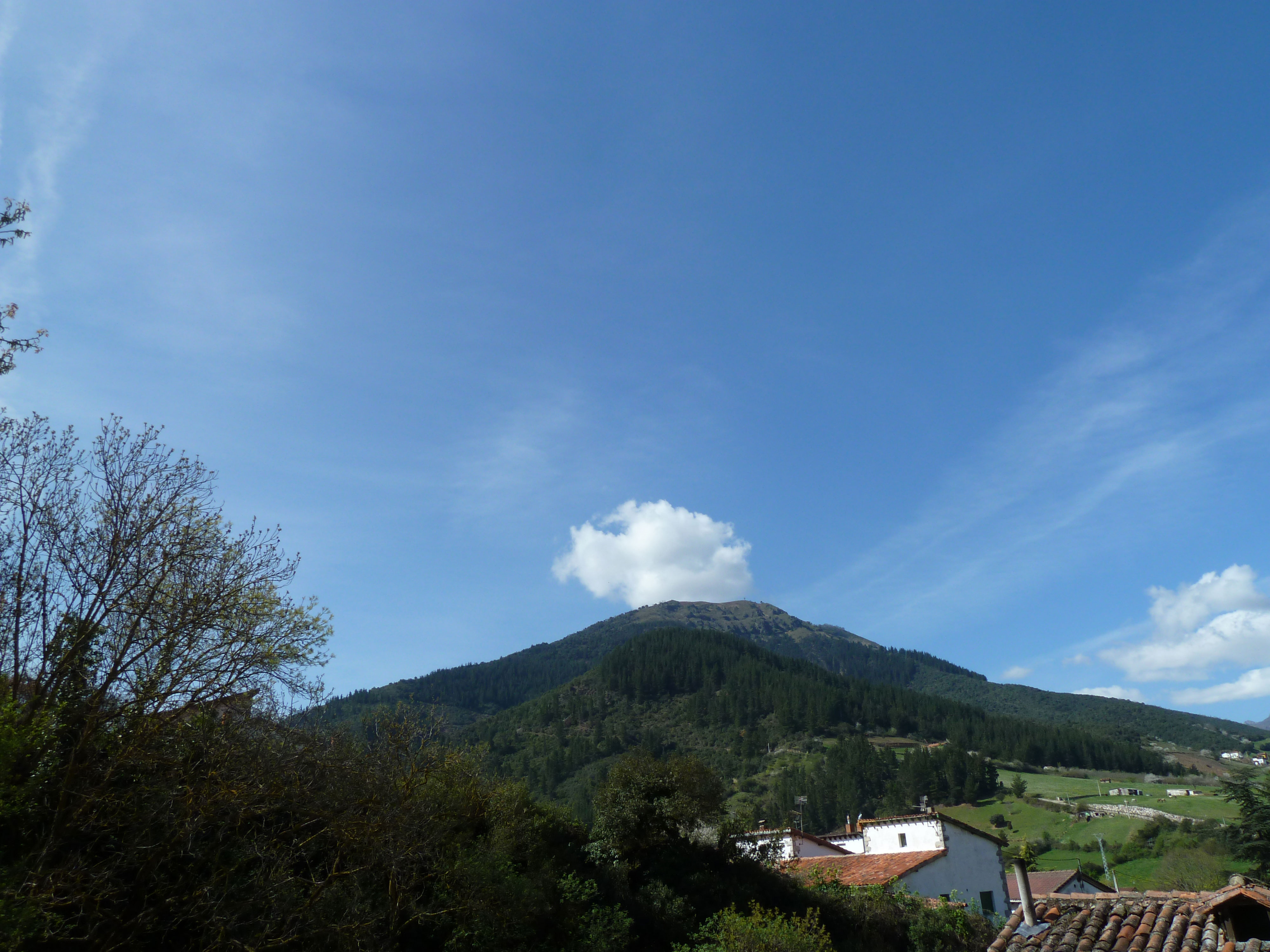 vistas 3